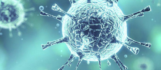 actualite des maladies infectieuses