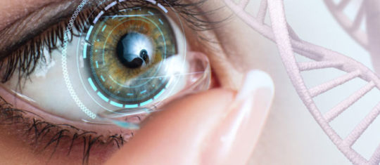 Prothèse oculaire