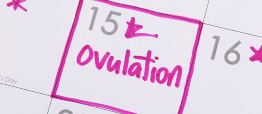 Ovulation