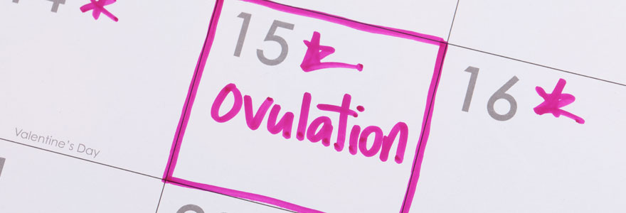 Ovulation