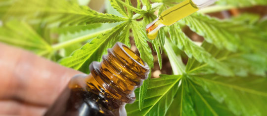 CBD